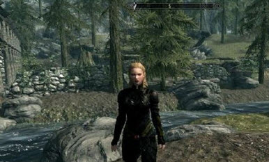 上古卷軸5黑寡婦套裝mod v1.0 綠色版圖1